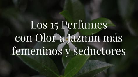 Los 15 Perfumes con Olor a Jazmín más femeninos y seductores.